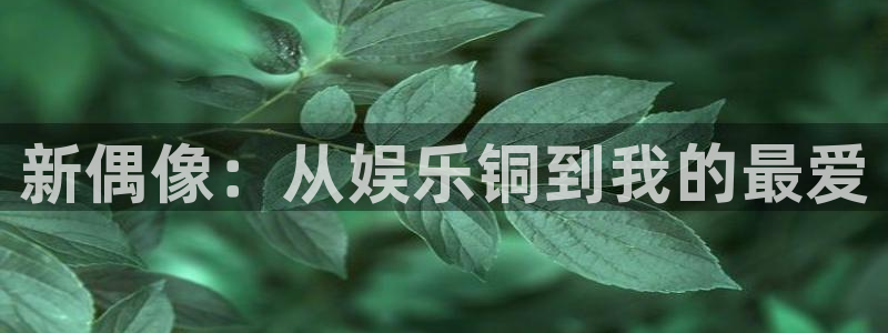 优贝娱乐：新偶像：从娱乐铜到我的最爱
