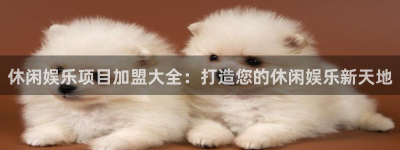 优贝娱乐：休闲娱乐项目加盟大全：打造您的休闲娱乐新天地