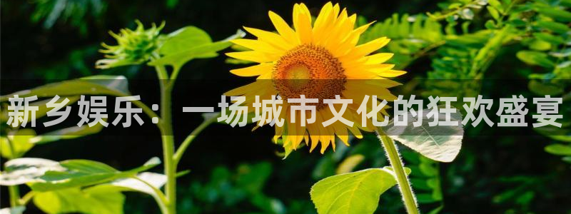 优贝娱乐：新乡娱乐：一场城市文化的狂欢盛宴