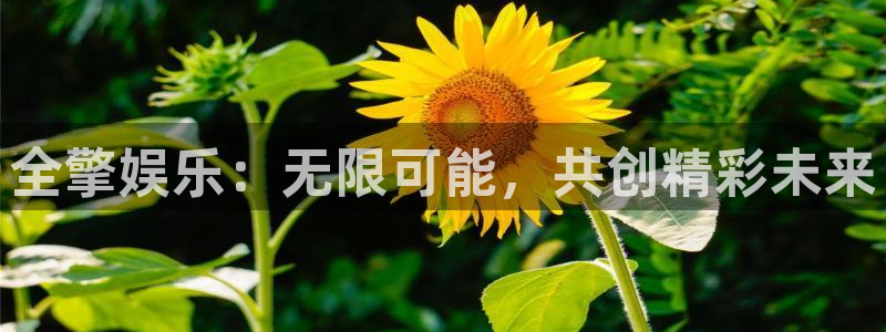 优贝娱乐：全擎娱乐：无限可能，共创精彩未来