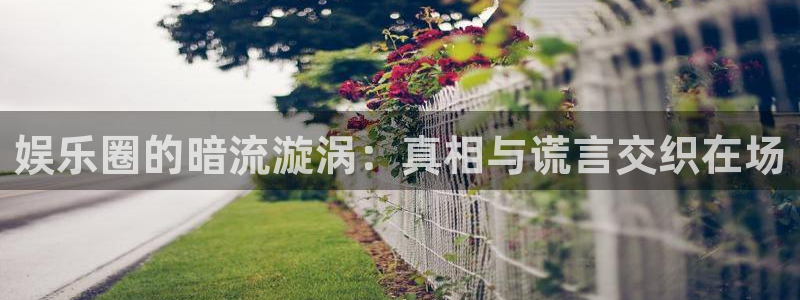 优贝娱乐：娱乐圈的暗流漩涡：真相与谎言交织在场