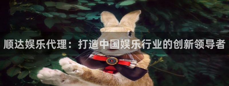优贝娱乐：顺达娱乐代理：打造中国娱乐行业的创新领导者