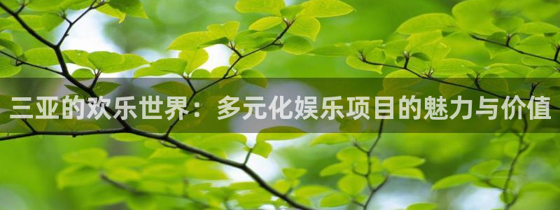 优贝娱乐：三亚的欢乐世界：多元化娱乐项目的魅力与价值