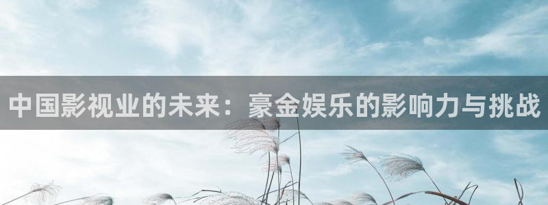 优贝娱乐：中国影视业的未来：豪金娱乐的影响力与挑战