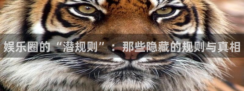 优贝娱乐：娱乐圈的“潜规则”：那些隐藏的规则与真相